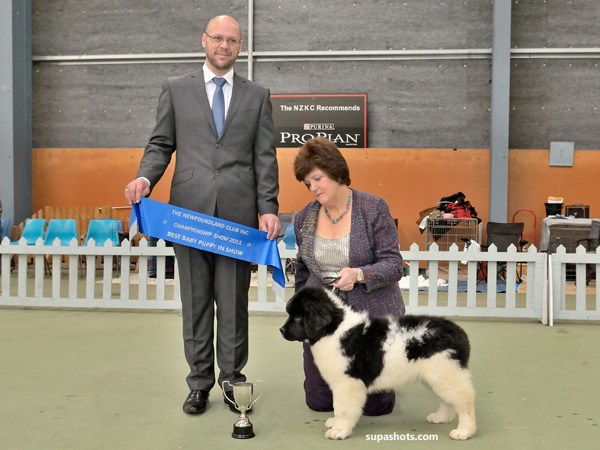 Click to view gallery